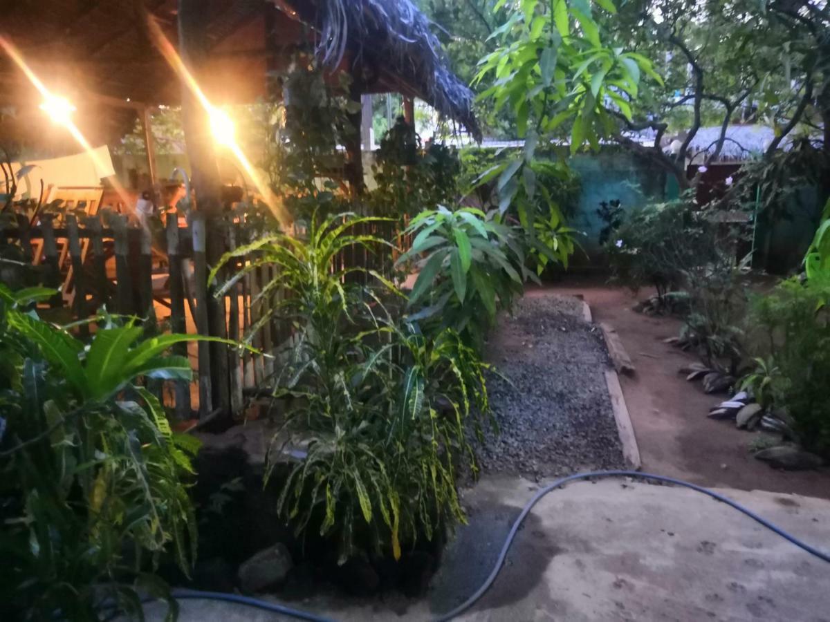 Alass Ga For Pets Lovers Trincomalee Exterior foto
